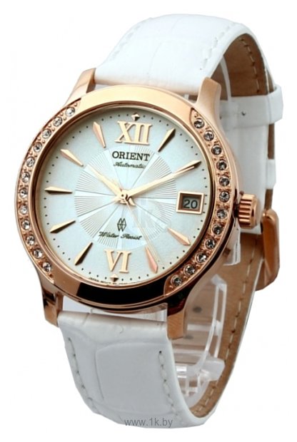 Женские часы Roberto Cavalli. Seiko. Каталог женских часов Delma