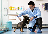 Китайские ученые будут клонировать полицейских собак