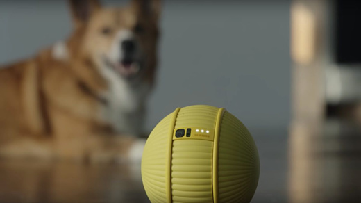 Samsung представила робота-компаньона Ballie