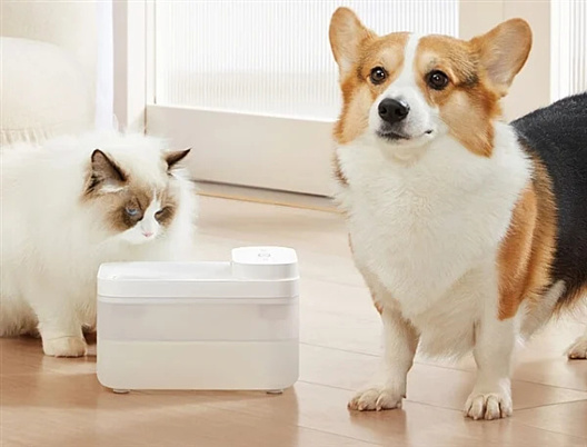 Xiaomi выпустила беспроводной «умный» диспенсер для домашних животных