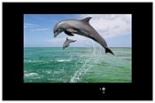 AquaView 19 AquaView 19
