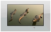 AquaView 42 AquaView 42
