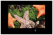 AquaView 37 AquaView 37