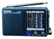 Tecsun R-909