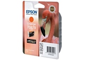 Epson C13T08794010