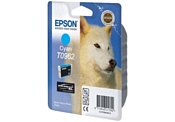 Epson C13T09624010