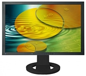 Eizo FlexScan S2233WFS Eizo FlexScan S2233WFS