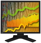 Eizo FlexScan S1902SH Eizo FlexScan S1902SH