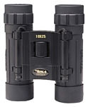BSA Sport & Recreational Optics C10X25ACP