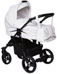 Lonex Speedy Ecco Lonex Speedy Ecco