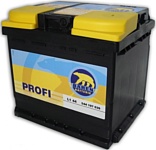 Baren Profi 545113033 (45Ah)