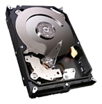 Seagate ST3000DM001