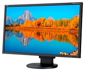 NEC MultiSync EA243WM NEC MultiSync EA243WM