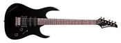 Washburn WR120