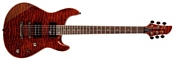 Fernandes Guitars Dragonfly Pro
