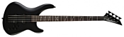 Jackson Chris Beattie Signature Bass