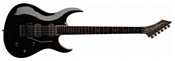 Washburn WM24V