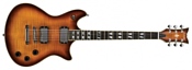 Schecter Tempest Custom