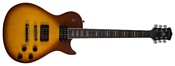 Washburn WINSTD