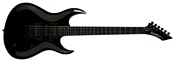 Washburn WM10