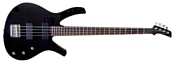 Parker Dragonfly Bass