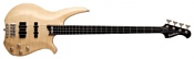 Washburn CB14