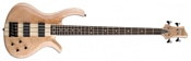 Schecter Riot-4