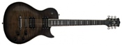 Washburn WINDLX