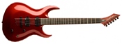 Washburn WM27