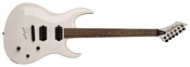 Washburn WM24