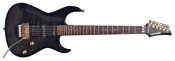 Fernandes Guitars FGZ-550S