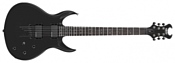 Schecter Devil