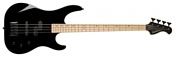 Washburn DB30