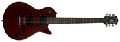 Washburn WMI14