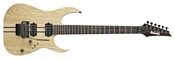 Ibanez RGT220Z