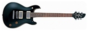 Fernandes Guitars APG-55