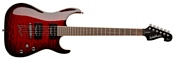 Washburn X50PROQ