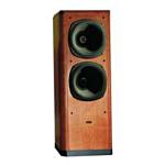 Tannoy Definition D900