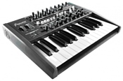 Arturia MiniBrute