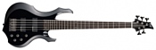 ESP Forest B5