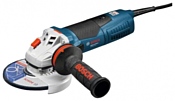 Bosch GWS 15-125 CIE (0601796002) Bosch GWS 15-125 CIE (0601796002)