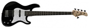 Fernandes Guitars R5X