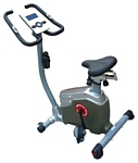 American Motion Fitness 4250G