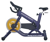 American Motion Fitness 4800