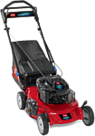 Toro 20792