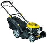 Champion LM4630
