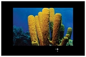 AquaView 55 AquaView 55