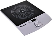 Tesler PI-17 Tesler PI-17
