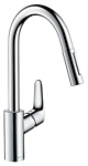 Hansgrohe Focus 31815000 Hansgrohe Focus 31815000