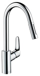 Hansgrohe Focus 31815000